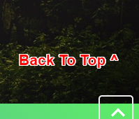 Cara membuat back to top button valid AMP