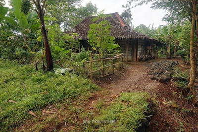 <img src="Kampung Pitu.jpg" alt=" Inilah Kampung Pitu,Desa Misteri di Gunung Kidul yang Konon Hanya Bisa Dihuni 7 Keluarga ">