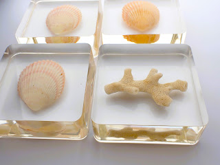 Four resin paperweights containing seashells and coral