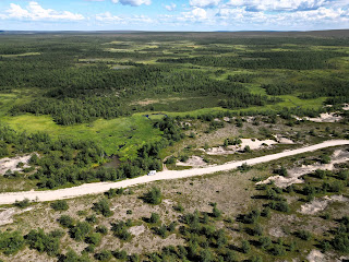 Hietatievat