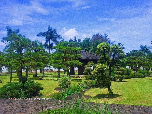 [http://FindWisata.blogspot.com] Ini dia, Daripada Pusing Mikirin Kerjaan, Yuk Kita Piknik Berlibur Ke Taman Bunga Nusantara