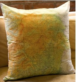 aviator map throw pillow