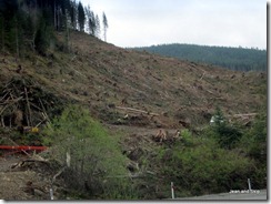 IMG_3790-001