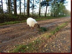 een hapje voor onderweg