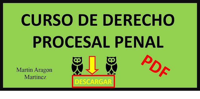 Breve Curso de Derecho Procesal Penal Martin Aragon Martinez pdf