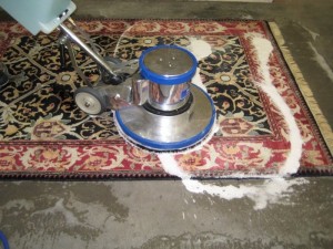 http://www.orientaldesignerrugs.com/rug-cleaning-and-washing.aspx