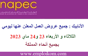 الأنابيك : جميع عروض العمل المعلن عنها ليوم الثلاثاء و الأربعاء 23 و24 ماي 2023 بجميع أنحاء المملكة