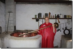 day 7 swiss open air museum (32)
