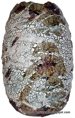 Flowers vases:15549vases