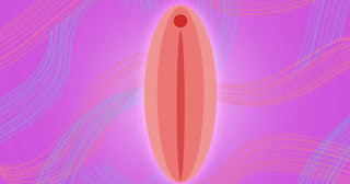 shape of a vagina