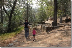 IMG_2639 IMG_2639