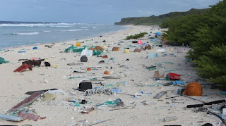 plastic pollution on remote Pacific Island, Henderson Island