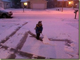 shovel 2