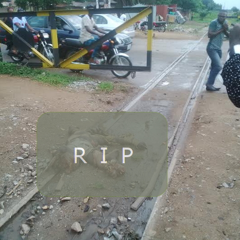 man crushed train makurdi benue state