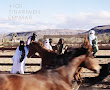 Tinariwen - Emmaar Tracklist