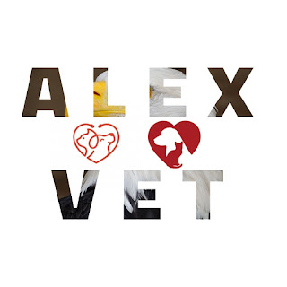 Vet alex