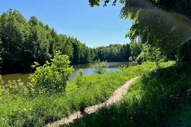 Ландшафтный заказник «Загорье», Герценский парк (Парк имени Герцена), Большой Герценский пруд