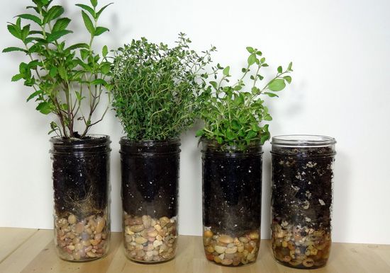Mason Jar Herb Planters