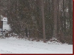 JanuarySnow2