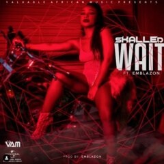 (Trap) Skalled - Wait (feat. Emblazon) (2019)