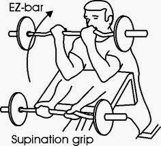 Preacher curl EZ bar