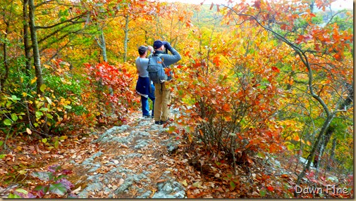 Lantern Hill_049
