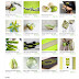 Etsy Treasury - Live Lime