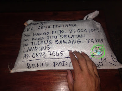 EKA ARYA Tulang Bawang, Lampung  (Sesudah Packing)