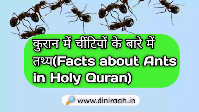 कुरान में चींटियों के बारे में तथ्य(Facts about Ants in Holy Quran)