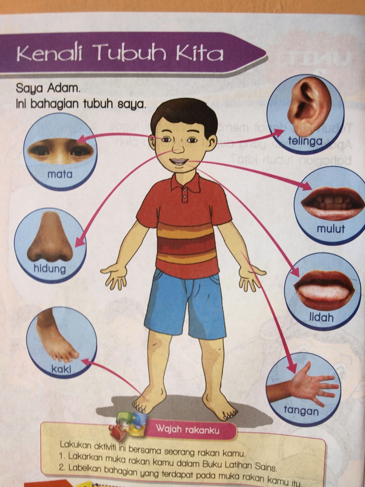 Dunia Sains dan  Teknologi Tahun 1