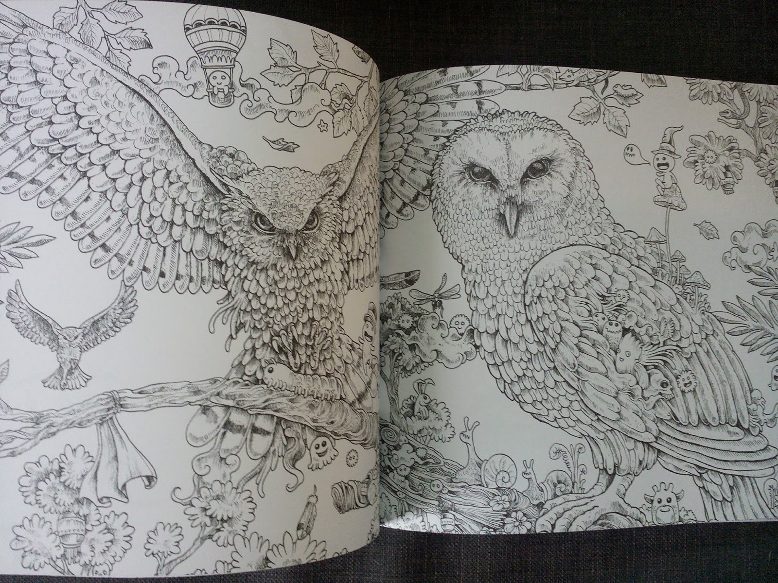 Sous le feuillage Chronique coloriage anti stress Animorphia Carnet de Coloriage & jeu d observation â™¥ â™¥ â™¥