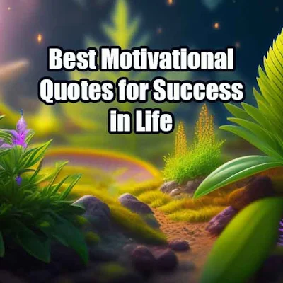 Best Motivational Quotes for Success in Life