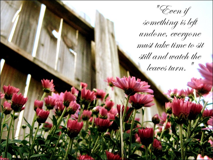 IMG_1434editwithquote
