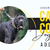 Advantages of Cane Corso Adoption