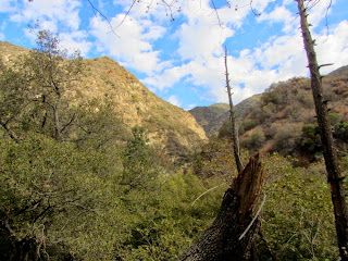 View north on Fish Canyon Trail in autumn, Angeles National Forest