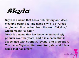 meaning of the name "Skyla"