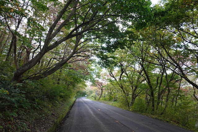 鳥取県西伯郡伯耆町　鳥取県道158号大山口停車場大山線