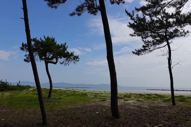 鳥取県米子市河崎　松林