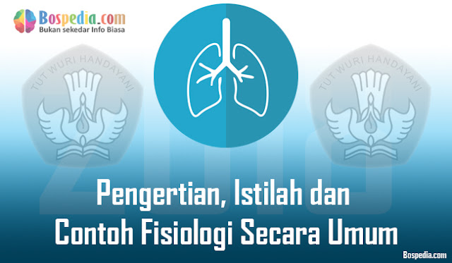 Pengertian Fisiologi atau sebuah ilmu faal yaitu sebuah pengertian atau ilmu dari salah sa Pengertian, Istilah Dan Pola Fisiologi Secara Umum