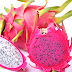 The Ultimate Guide to Storing Dragon Fruit for Export: Ensuring Quality and Freshness