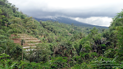 Nature in Ciparay