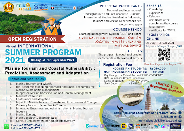 virtual summer program