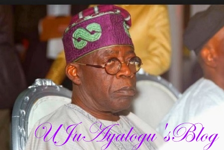 We Pity Tinubu - 'Buried' PDP Speaks From 'Grave'