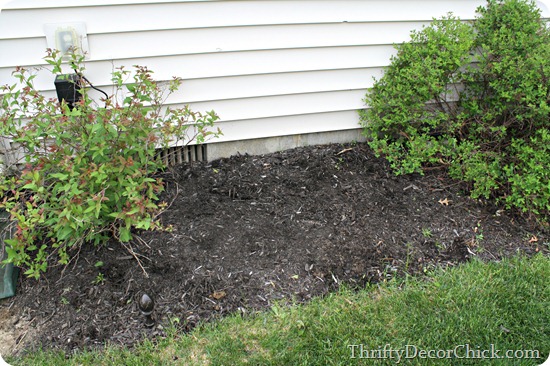getting rid of prickly weeds 
