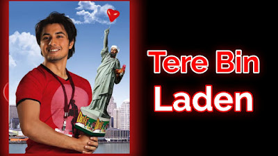 Tere Bin Laden film budget, Tere Bin Laden film collection