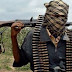 Gunmen kill five in Borno as sect leader speaks on global Jihad