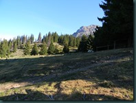 DSCN7450