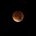 रविवार 15 मई को होने जा रहा पूर्ण चंद्र ग्रहण, 'ब्लड मून' अनोखी खगोलीय घटना को ऐसे देखें लाइव