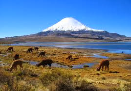 Parinacota Tourism, Chile