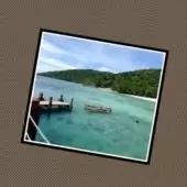 Photo Widget (Paid)